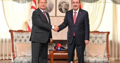 PM Üstel calls for support for Türkiye-TRNC energy projects